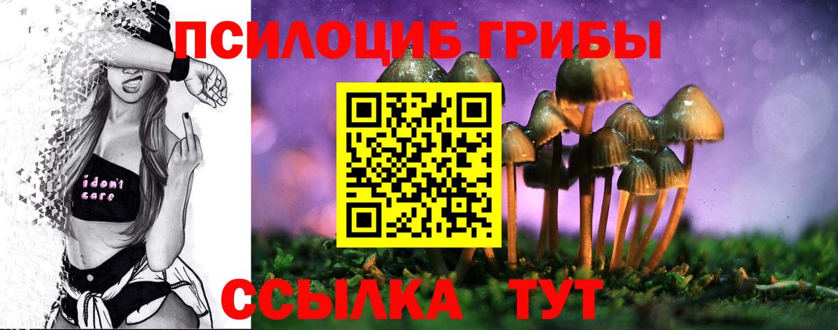 Кизилюрт  Галлюциногенные грибы Psilocybe  Вход с VPN 