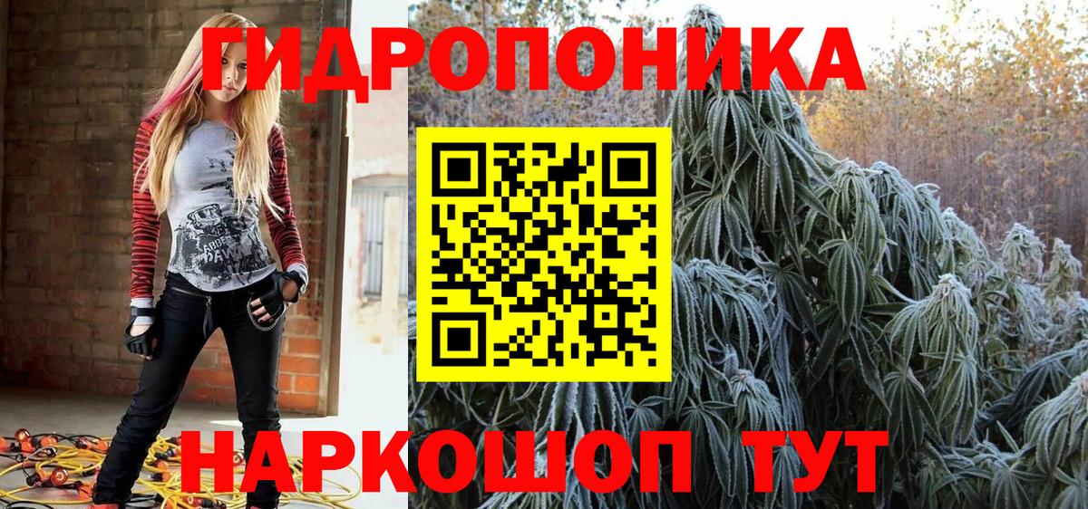 Марихуана план Кизилюрт
